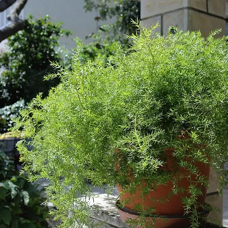 Apartamento By The Sea - 572 *