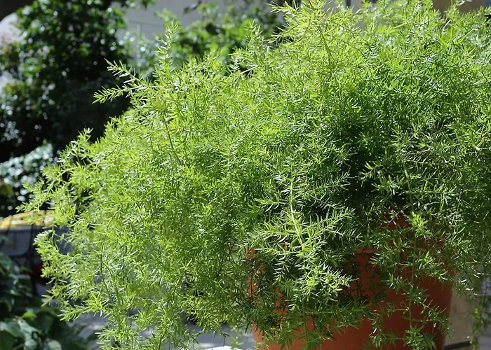 Apartamento By The Sea - 572 *